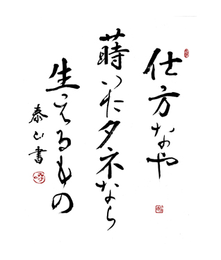 仕方なや　蒔いたタネなら　生えるもの