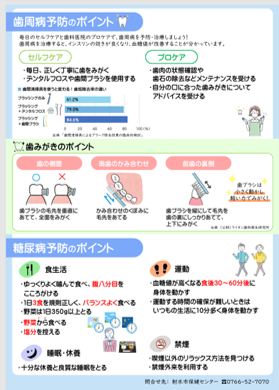 【画像】パンフレット②