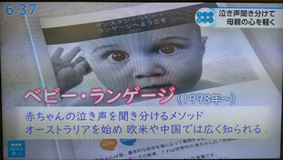 【画像】ベビーランゲージとは、発祥のオーストラリアをはじめ欧米などで広く知られている、赤ちゃんの泣き声を聞き分ける世界的なメソッド 【画像】ベビーランゲージとは、発祥のオーストラリアをはじめ欧米などで広く知られている、赤ちゃんの泣き声を聞き分ける世界的なメソッド