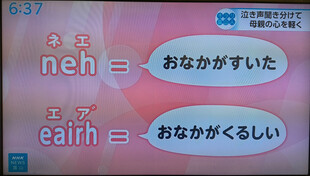 【画像】舌をまくように発する 「ネェ」はお腹が空いた、苦しそうに発する「エア゛」はお腹にガスが溜まって苦しいというメッセージで、泣き声や仕草が赤ちゃんにとって言葉であると捉えている 【画像】舌をまくように発する 「ネェ」はお腹が空いた、苦しそうに発する「エア゛」はお腹にガスが溜まって苦しいというメッセージで、泣き声や仕草が赤ちゃんにとって言葉であると捉えている