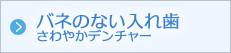 バネのない入れ歯　さわやかデンチャー