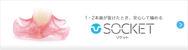 1・2本歯が抜けたとき、安心して噛める「ソケット」