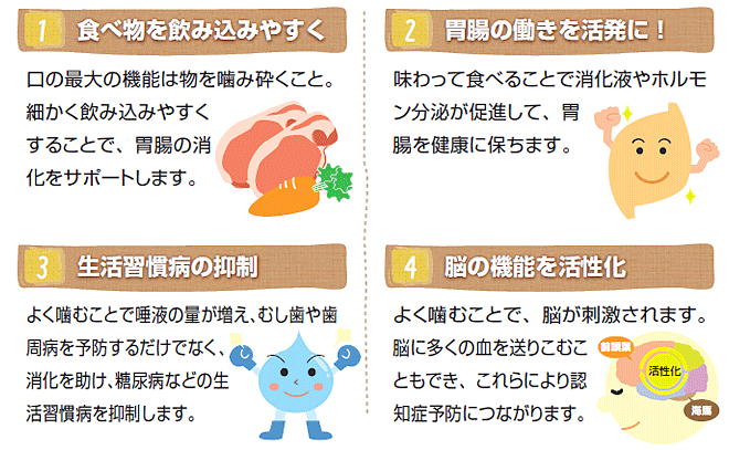 1.食べ物を飲み込みやすく　口の最大の機能は物を噛み砕くこと。細かく飲み込みやすくすることで、胃腸の消化をサポートします。
2.胃腸の働きを活発に！　味わって食べることで消化液やホルモン分泌が促進して、胃腸を健康に保ちます。
3.生活習慣病の抑制　よく噛むことで唾液の量が増え、むし歯や歯周病を予防するだけでなく、消化を助け、糖尿病などの生活習慣病を抑制します。
4.脳の機能活性化　よく噛むことで、脳が刺激されます。脳に多くの血を送りこむこともでき、これらにより認知症予防につながります。