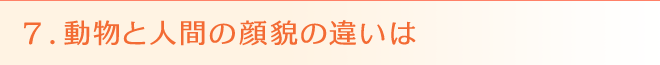 7. 動物と人間の顔貌の違いは