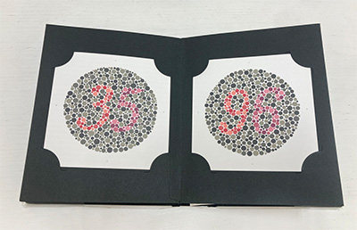 石原色覚検査表