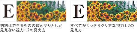 判別はできるもののぼんやりとしか見えない視力1.2の見え方 すべてがくっきりクリアな視力1.2の見え方