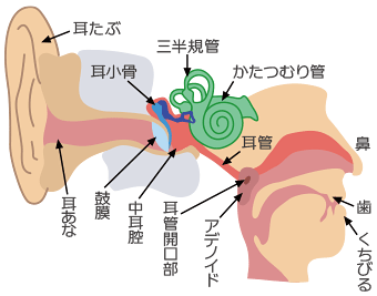 耳管開放症