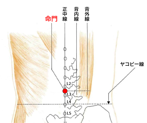 命門の探し方