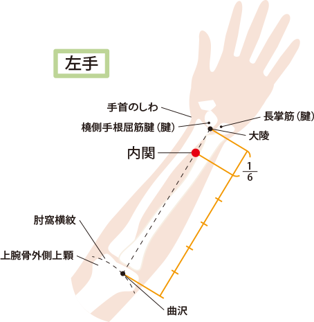 内関の探し方