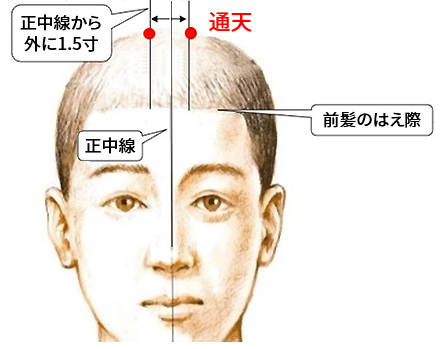 通天の探し方