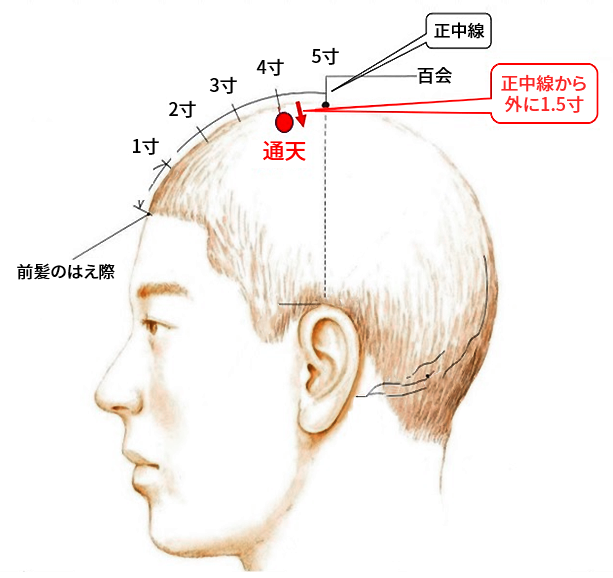 通天の探し方