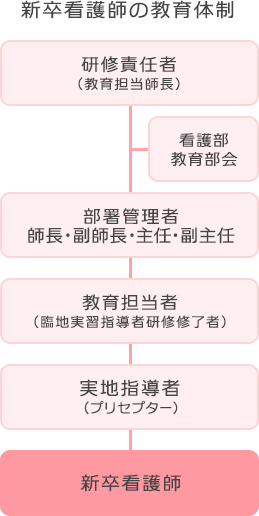 新卒看護師の教育体制